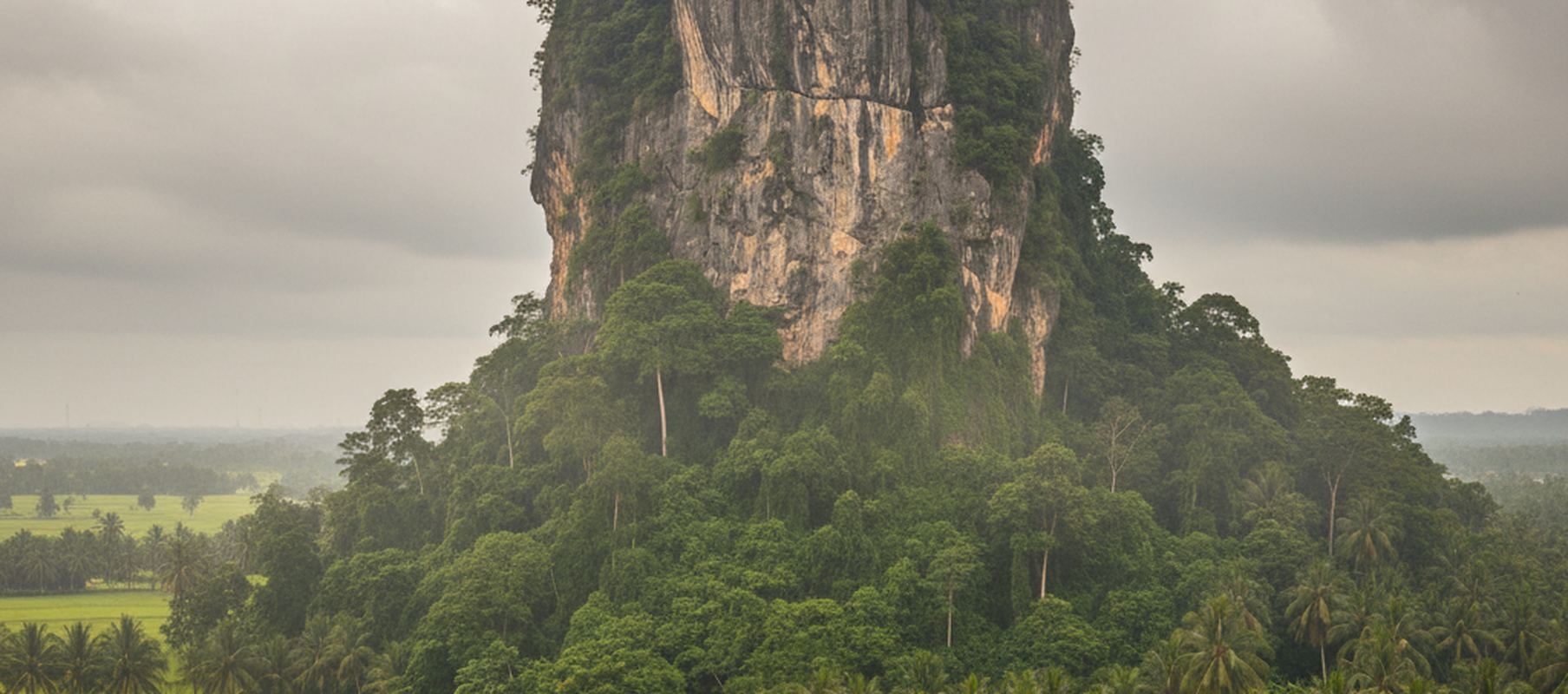 A single limestone tower rises from dense jungle, its gray face grooved and lit in patches, with palm crowns below and flat green fields fading into haze at left under an overcast sky.
