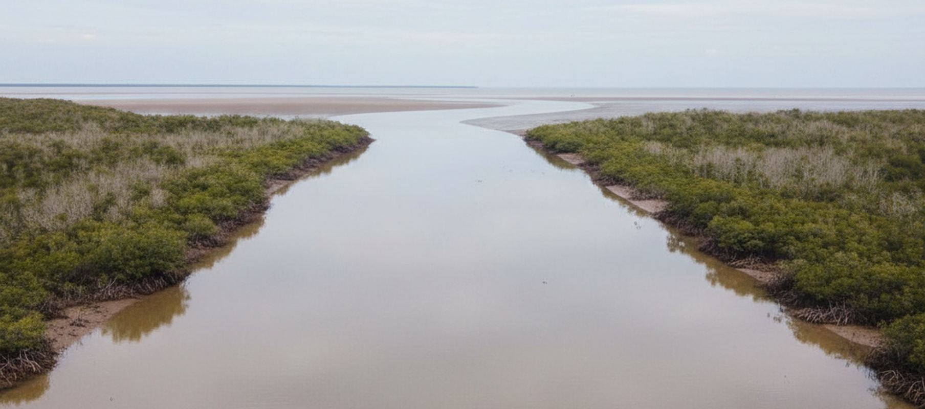 Elevated view down a wide tidal river, silt brown at the low mangrove banks and pale gray midstream, tangled roots on bare mud, the channel opening onto broad tan flats under overcast.